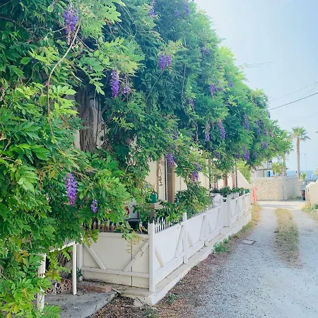 Casa Del Glicine * Mongiove